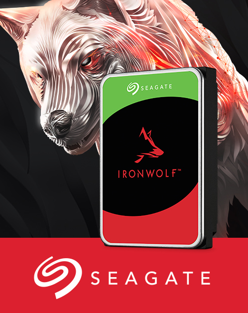 HDD Seagate Iron Wolf